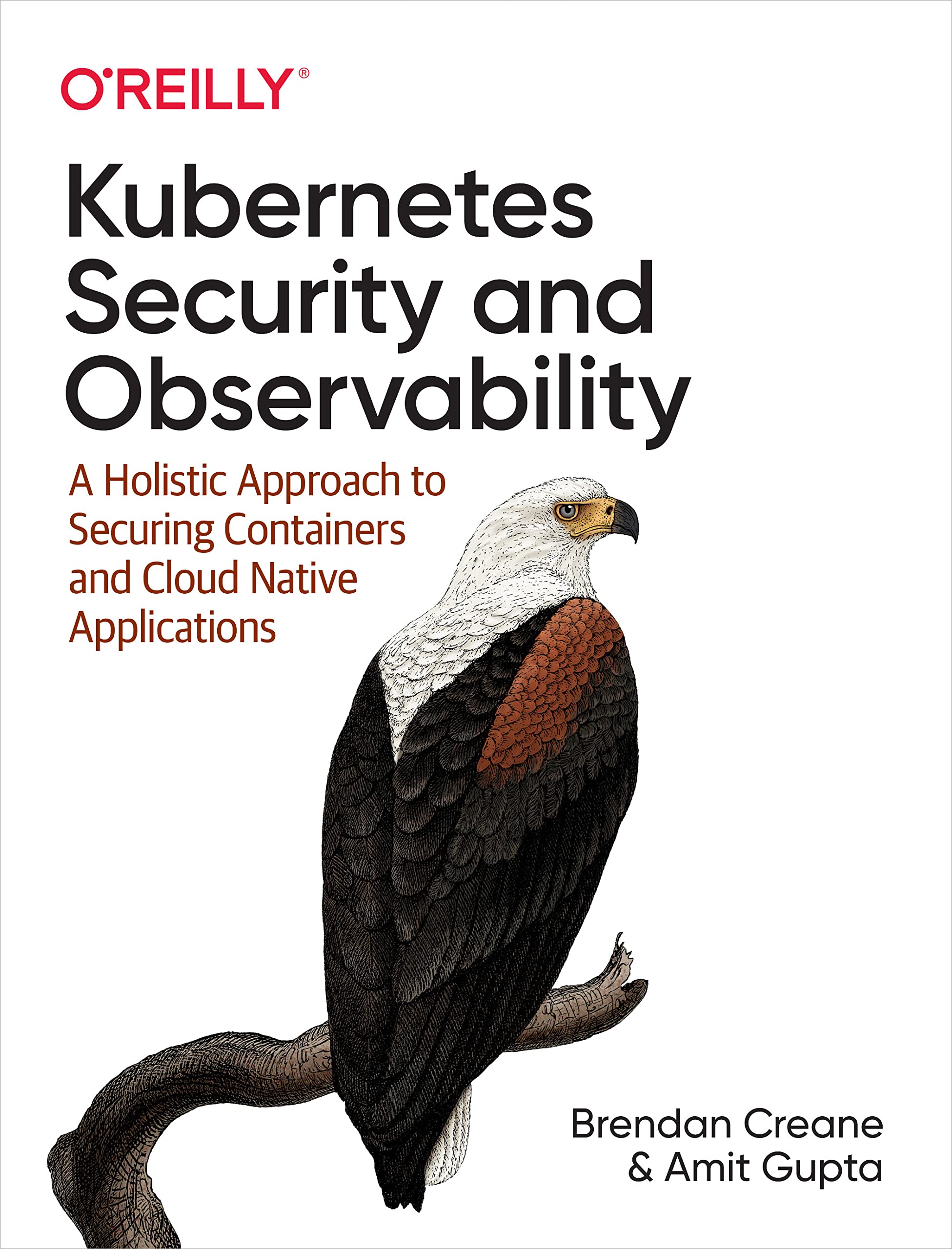 Kubernetes Security and Observability: A Holistic Approach to Securing Containers and Cloud Native Applications (Kindle Edition)