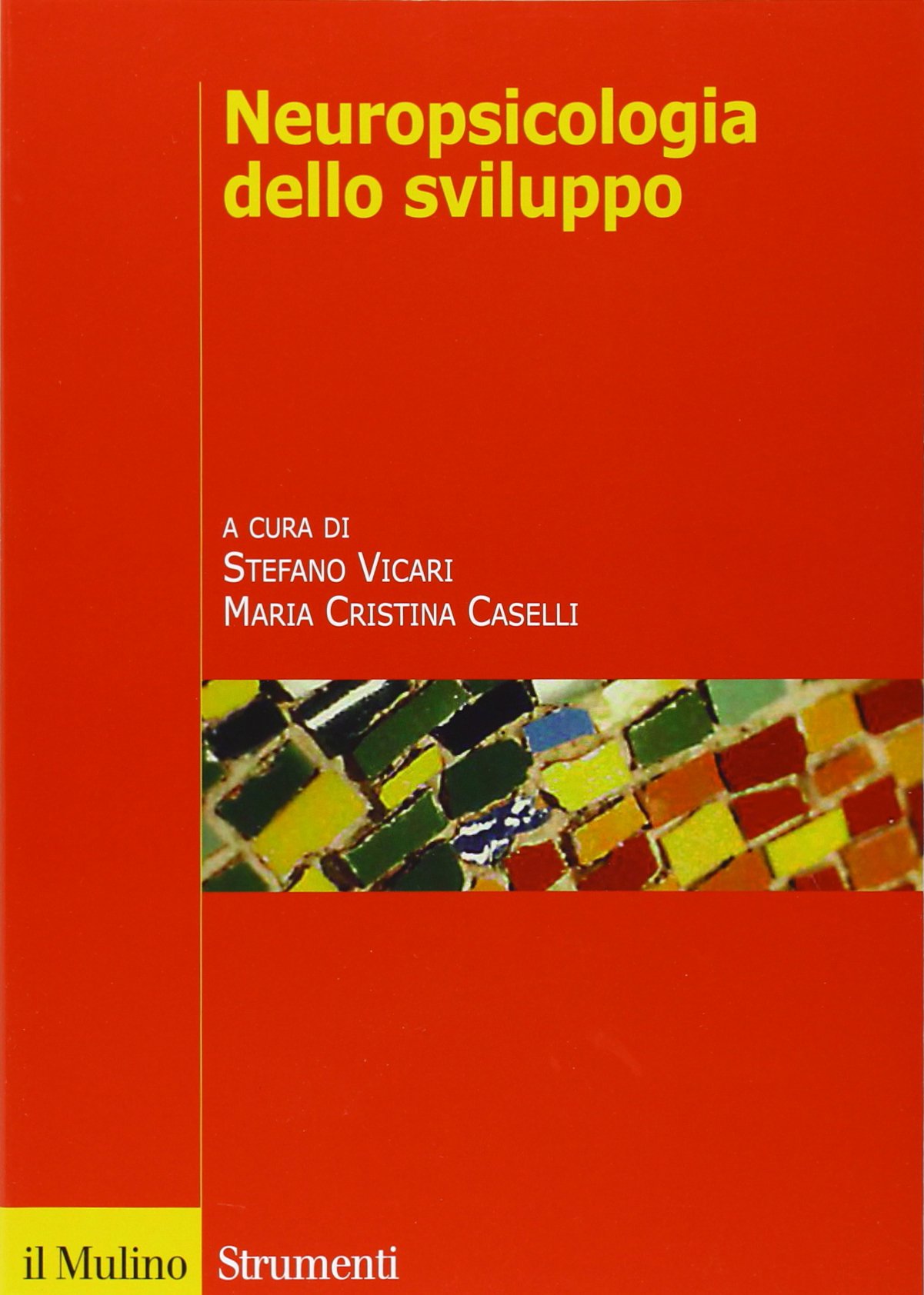 Neuropsicologia dello sviluppo. Normalità e patologia (Paperback)