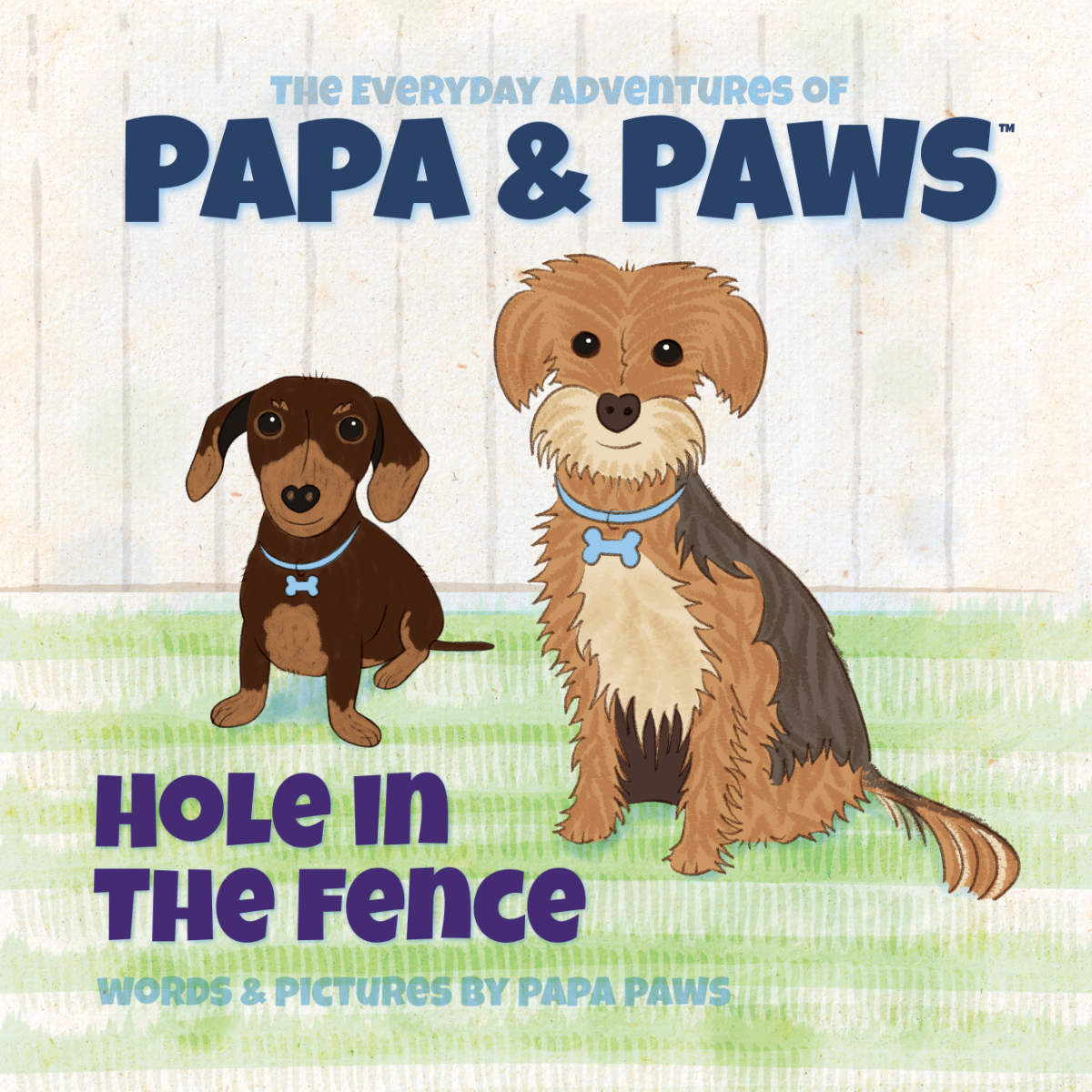 Hole in the Fence (The Everyday Adventures of Papa & Paws Book 4) (Hardcover)