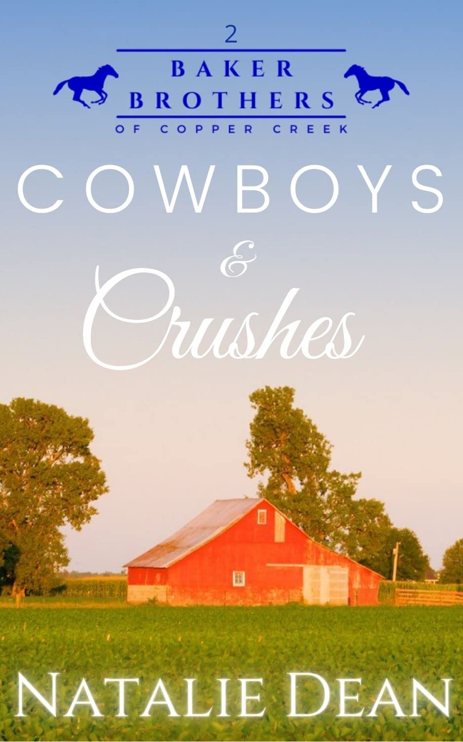 Cowboys & Crushes (Baker Brothers of Copper Creek #2)
