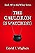 The Cauldron Is Watchinng (...
