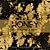 Honey Words to Heal & Mend by Julie Kusma