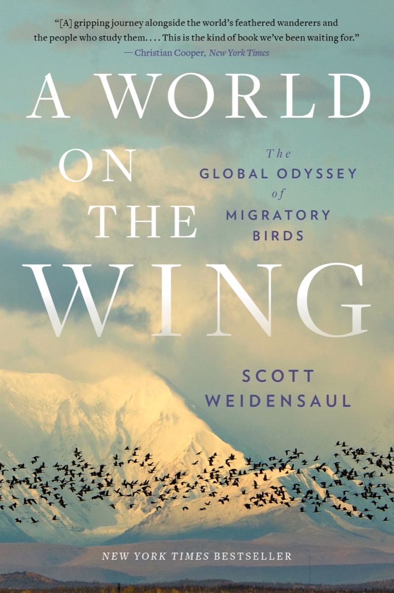 A World On The Wing The Global Odyssey Of Migratory Birds By Scott Weidensaul