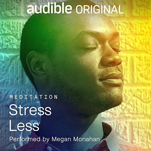 Stress Less (Audiobook)