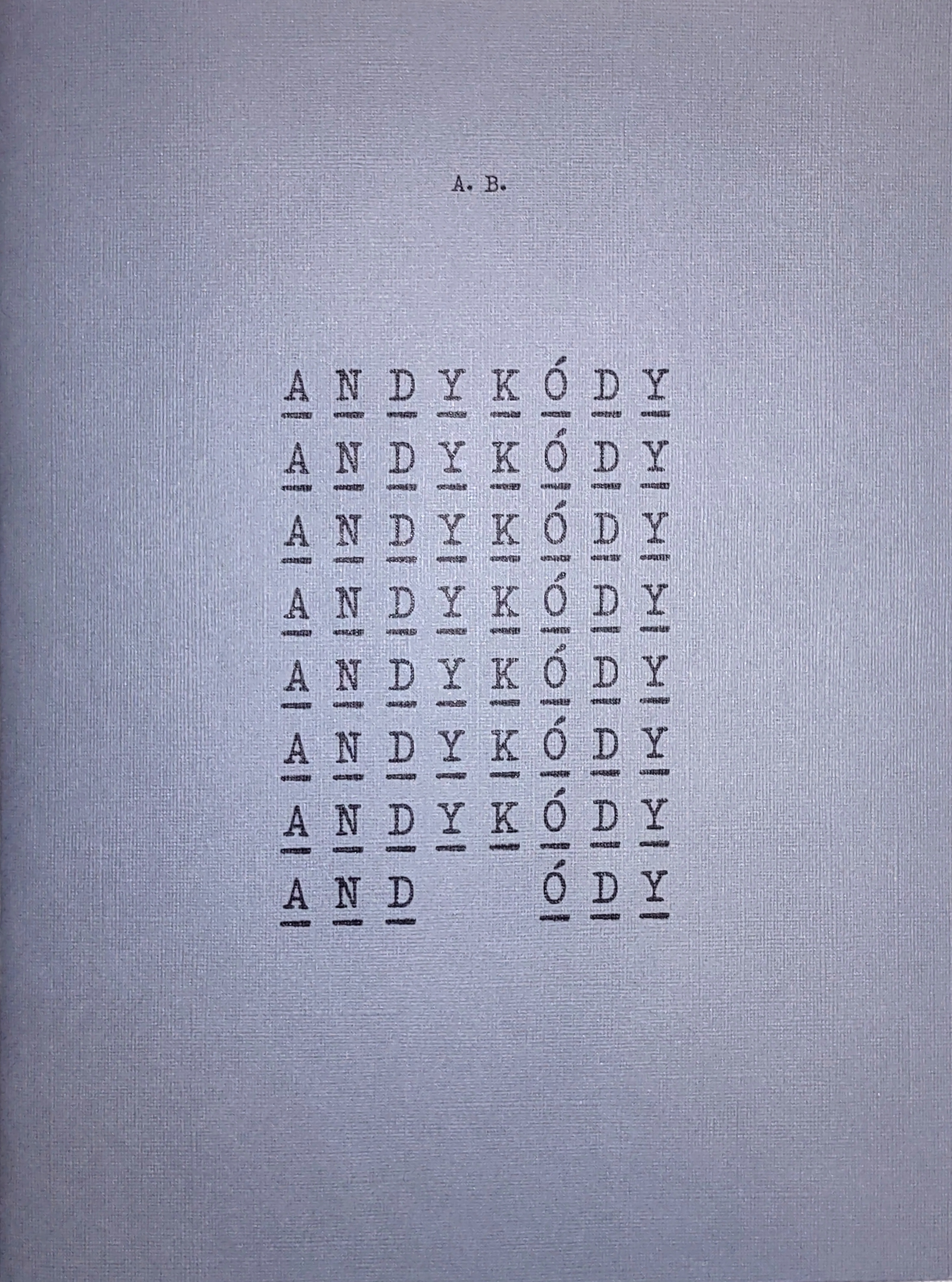 Andykódy (Paperback)