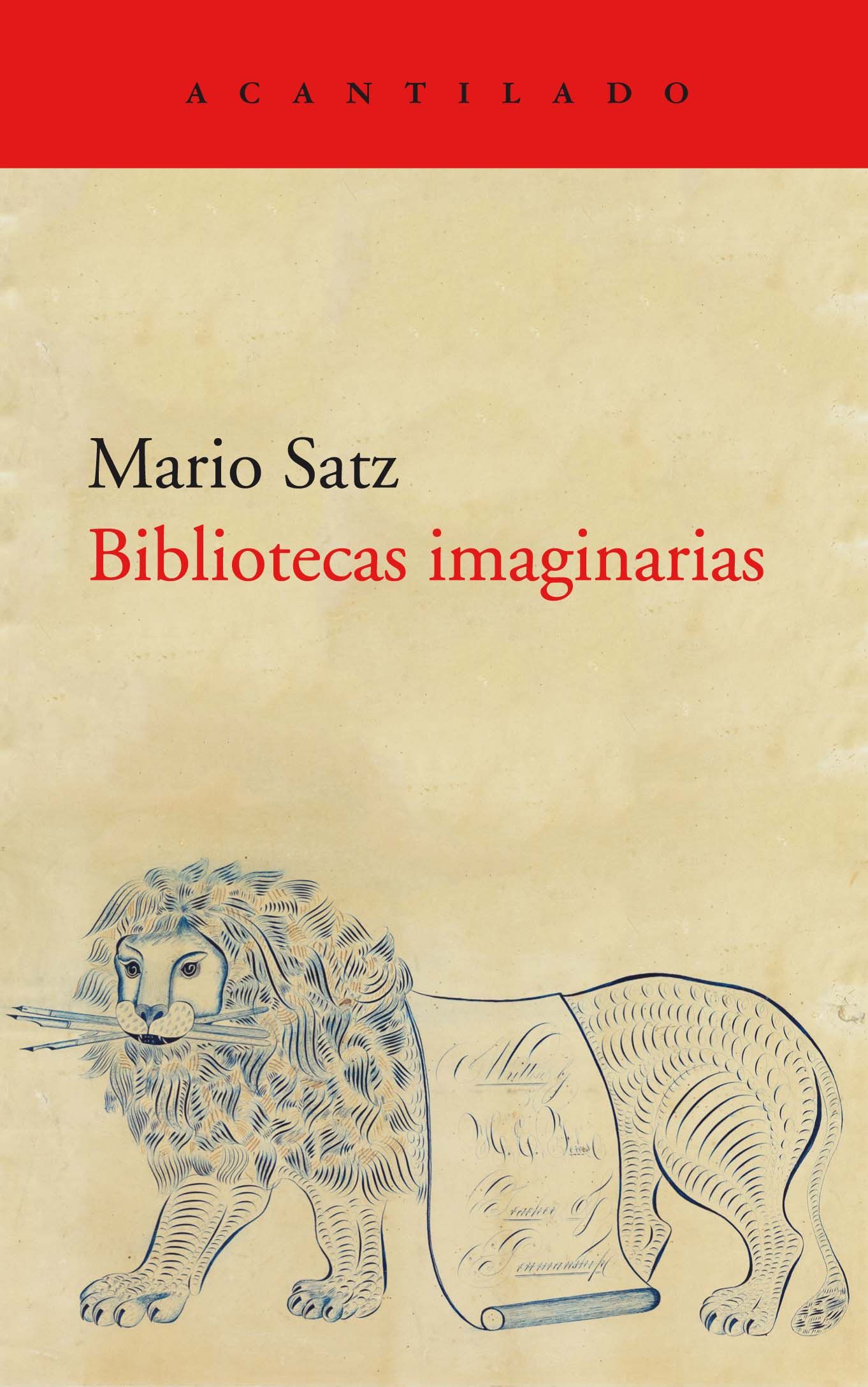 Bibliotecas imaginarias (Paperback)