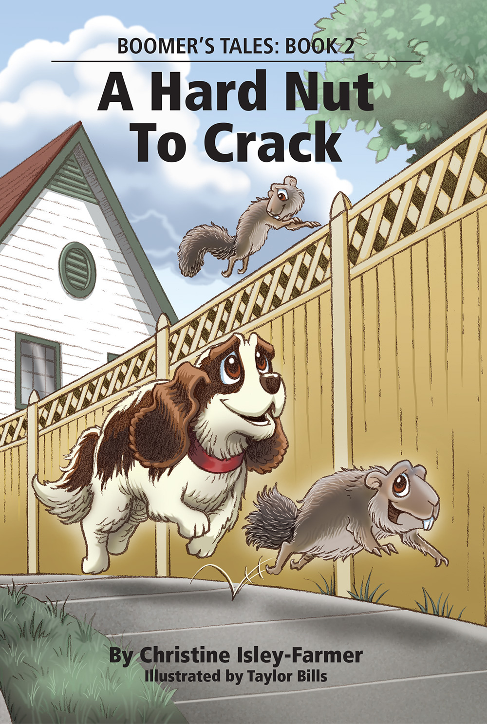 A Hard Nut to Crack (Boomer's Tales 2)