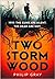 Two Storm Wood