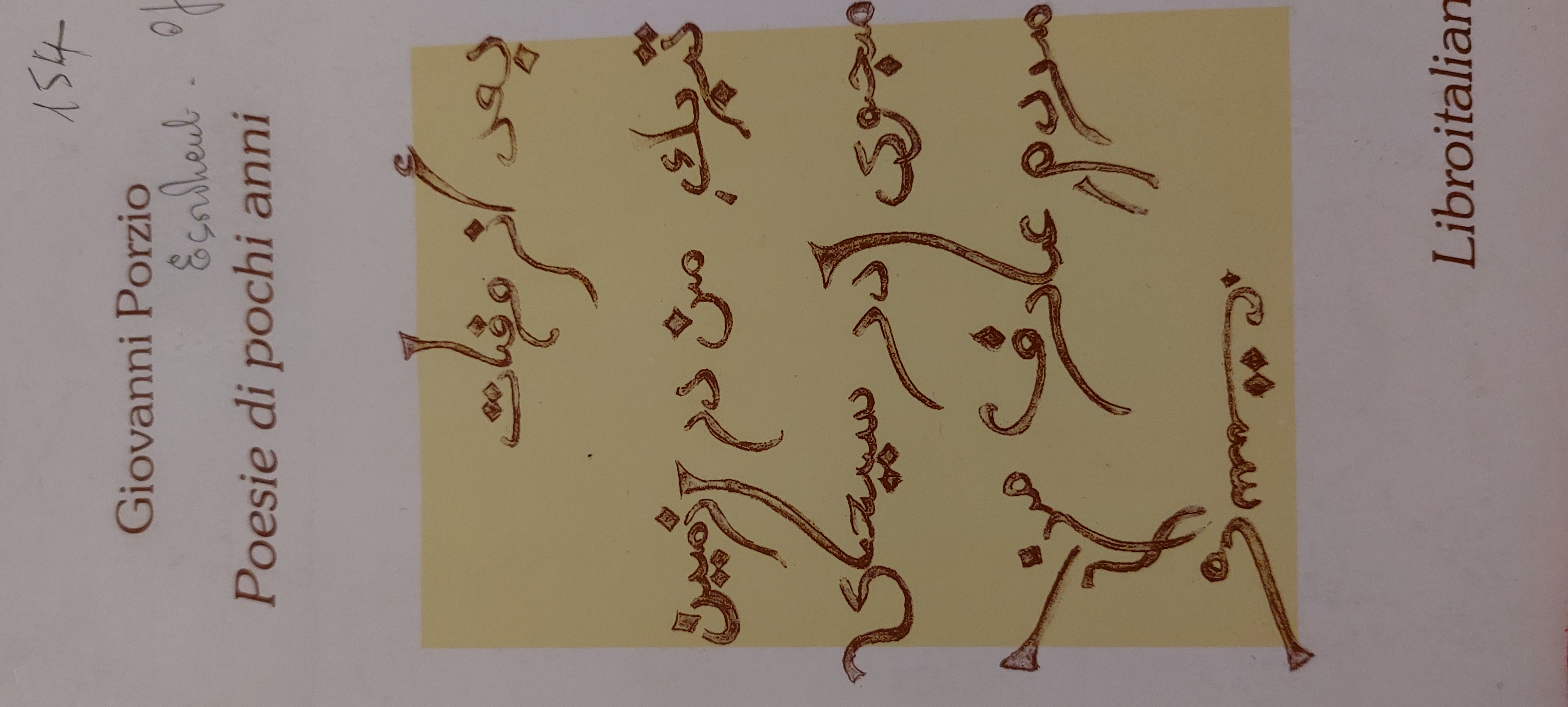 Poesie di pochi anni