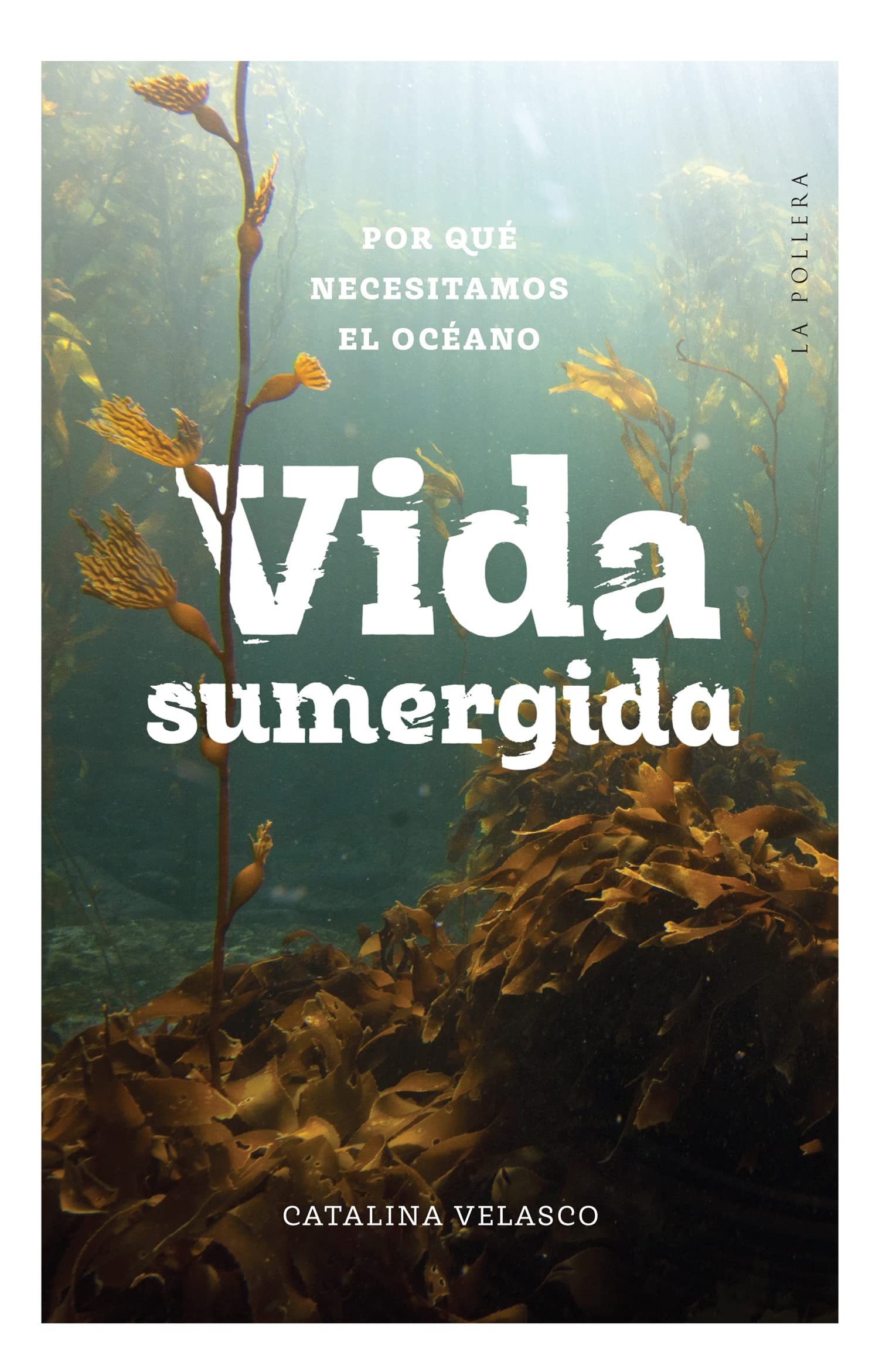 Vida sumergida: Por qué necesitamos el océano (Kindle Edition)