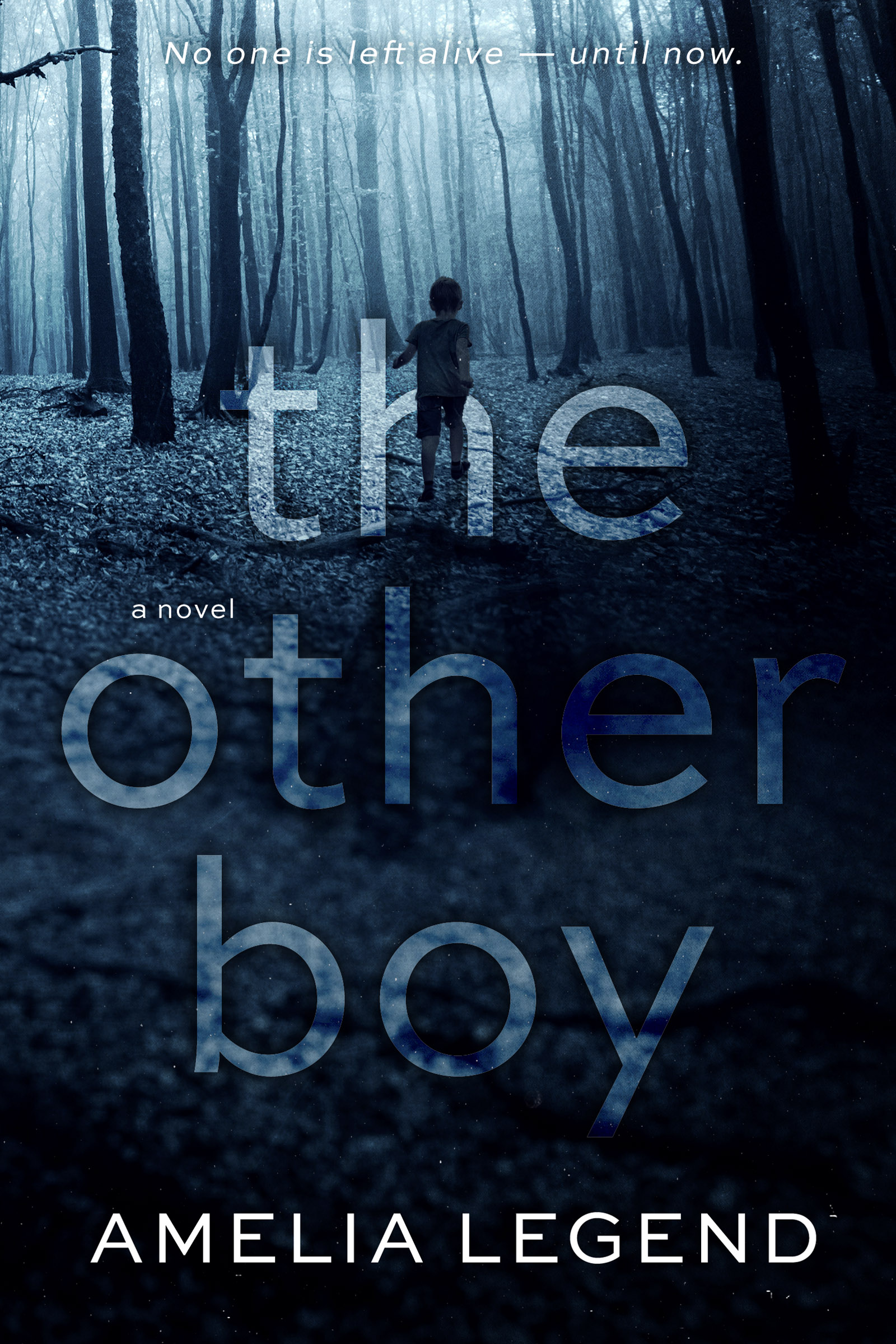 The Other Boy