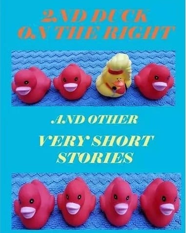 2nd Duck on the Right and Other Very Short Stories