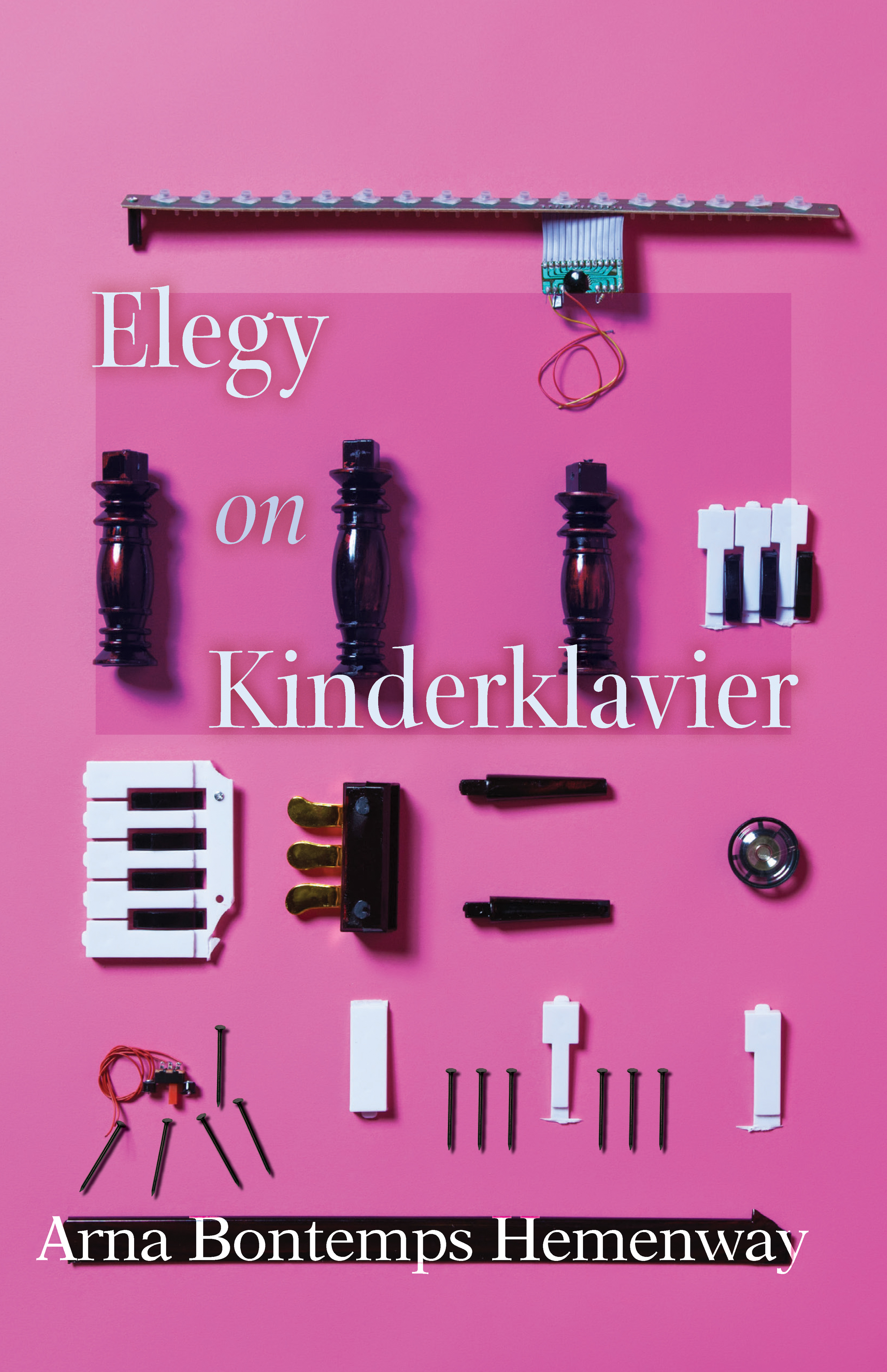 Elegy on Kinderklavier (Linda Bruckheimer Series in Kentucky Literature)