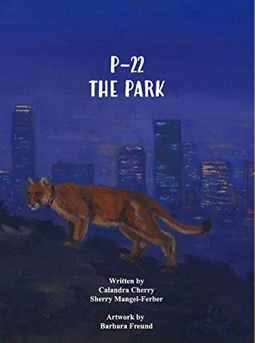 P-22 The Park (Hardcover)