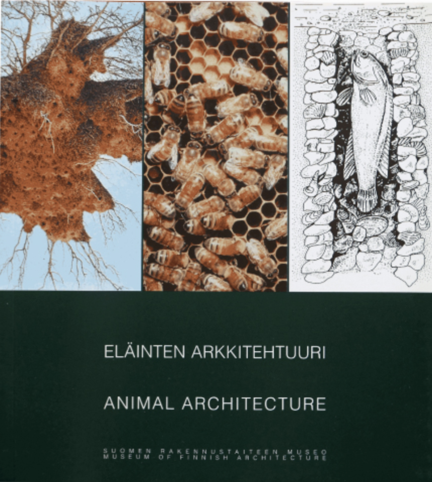 Eläinten arkkitehtuuri - Animal architecture