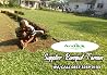 Jual Rumput Taman Jombang, Tlp. +62 857-3259-0133, ANDIKA GARDEN