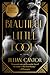 Beautiful Little Fools: A Novel