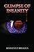 Glimpse of Insanity