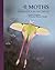 The Lives of Moths: A Natural History of Our Planet's Moth Life (The Lives of the Natural World)