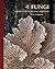 The Lives of Fungi: A Natural History of Our Planet's Decomposers (The Lives of the Natural World)