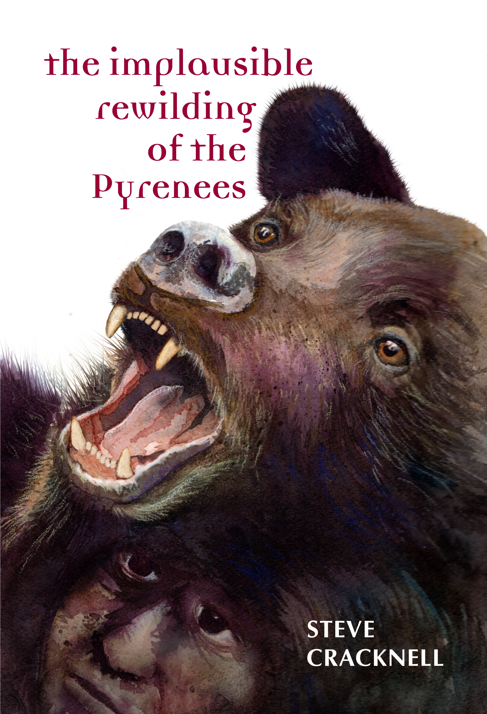 The Implausible Rewilding of the Pyrenees