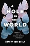 A Hole in the World by Amanda Held Opelt