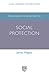 Advanced Introduction to Social Protection (Elgar Advanced Introductions series)