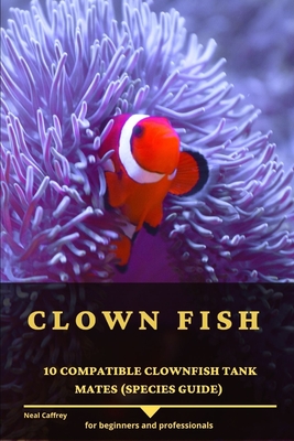 Clown Fish: 10 Compatible Clownfish Tank Mates