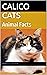 Calico Cats: Animal Facts