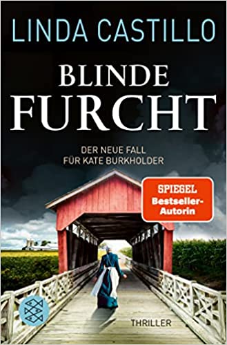 Blinde Furcht (Kate Burkholder, #13)