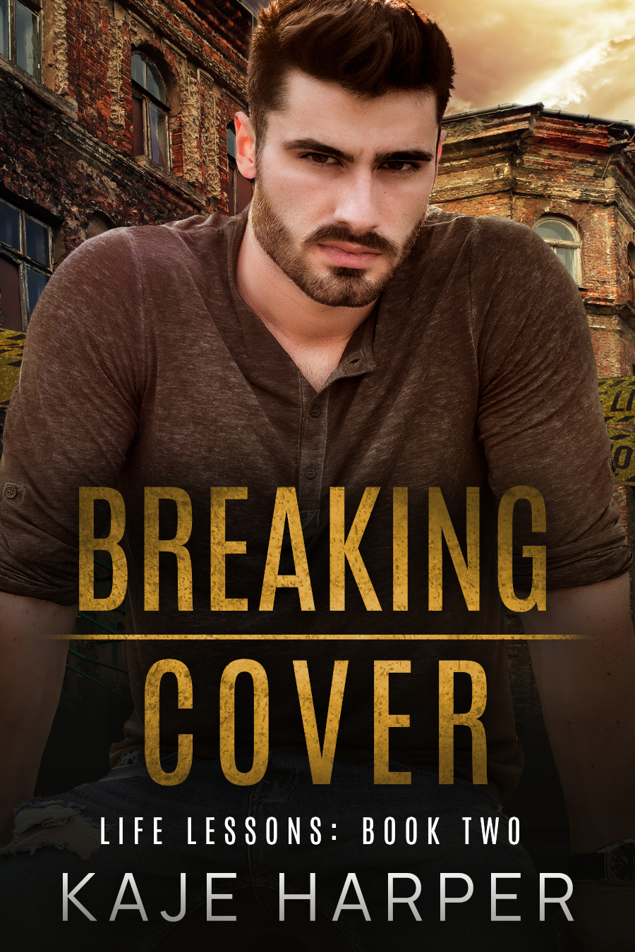 Breaking Cover (Life Lessons, #2)