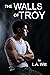 The Walls of Troy