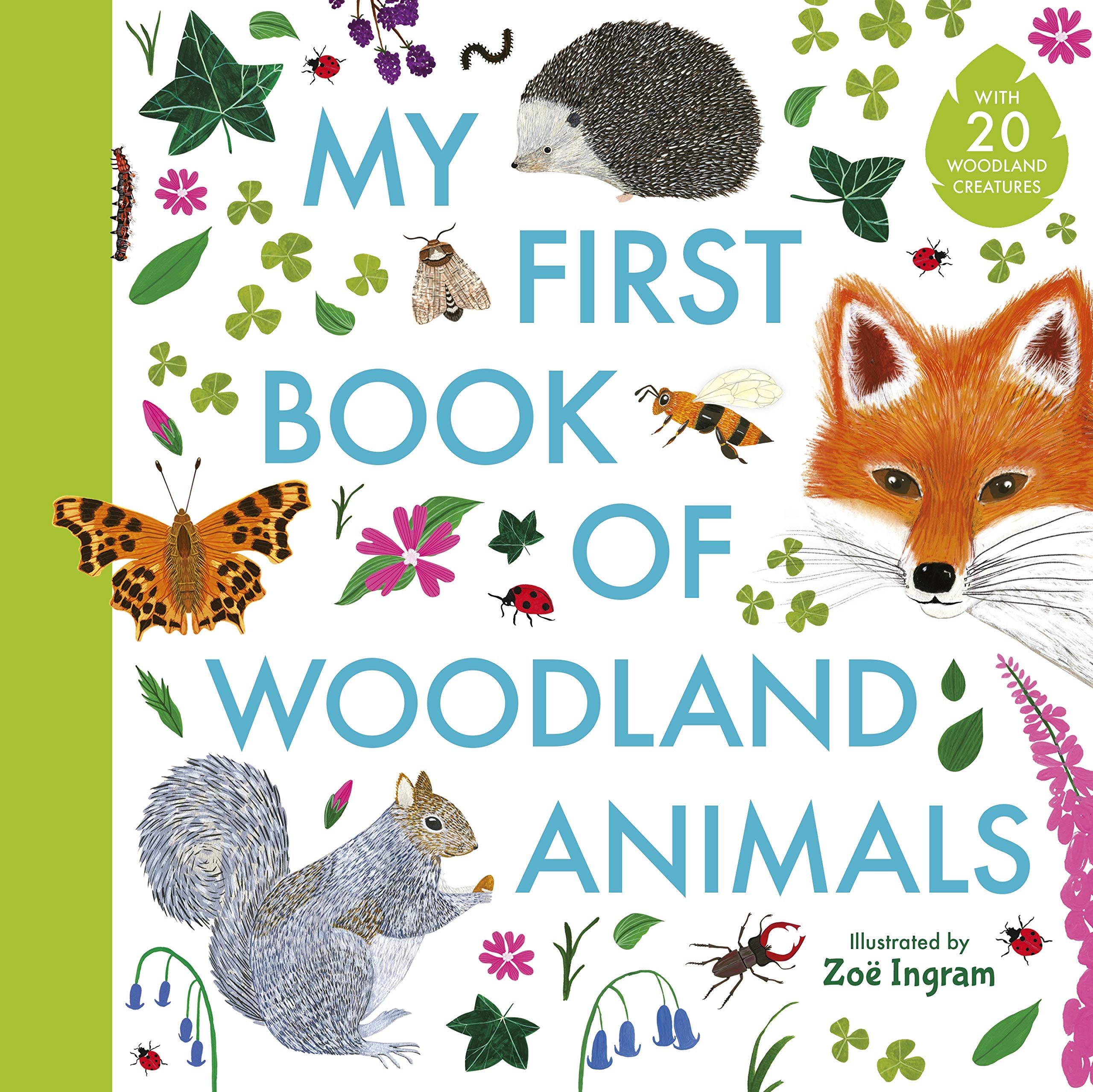 My First Book of Woodland Animals (Hardcover)