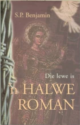 Die lewe is 'n halwe roman (Paperback)
