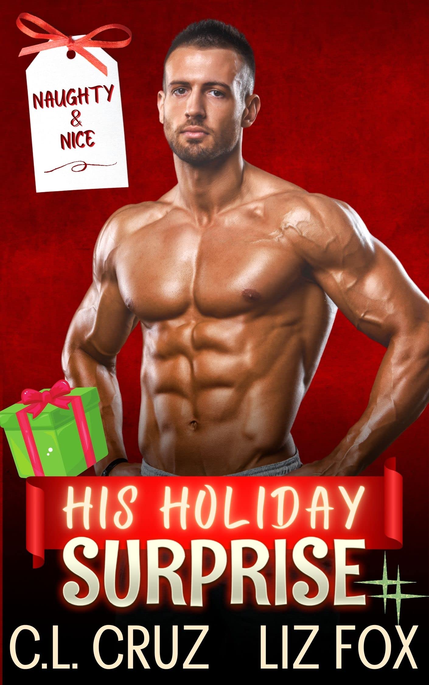 His Holiday Surprise (Naughty & Nice #2)