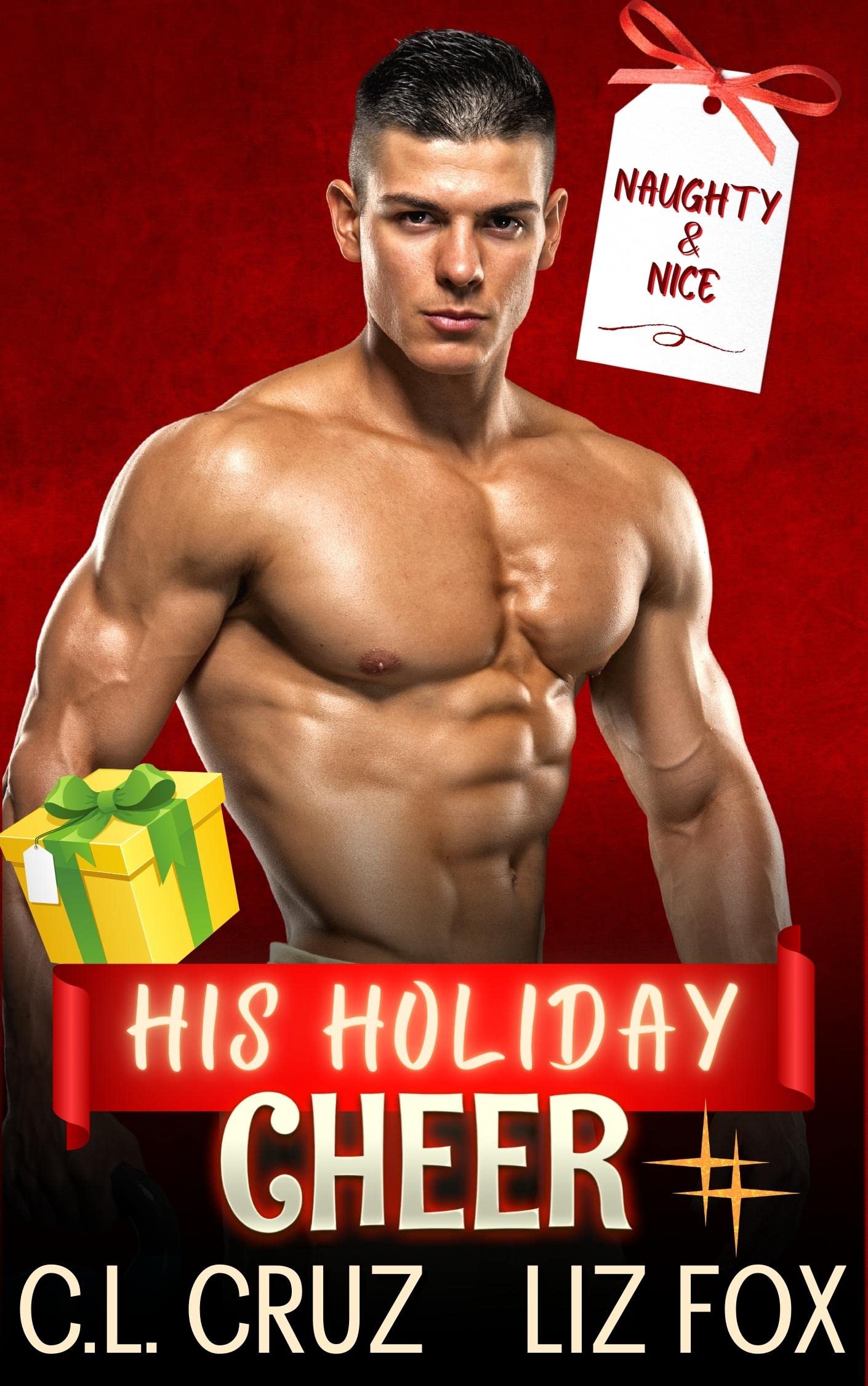 His Holiday Cheer (Naughty & Nice #3)