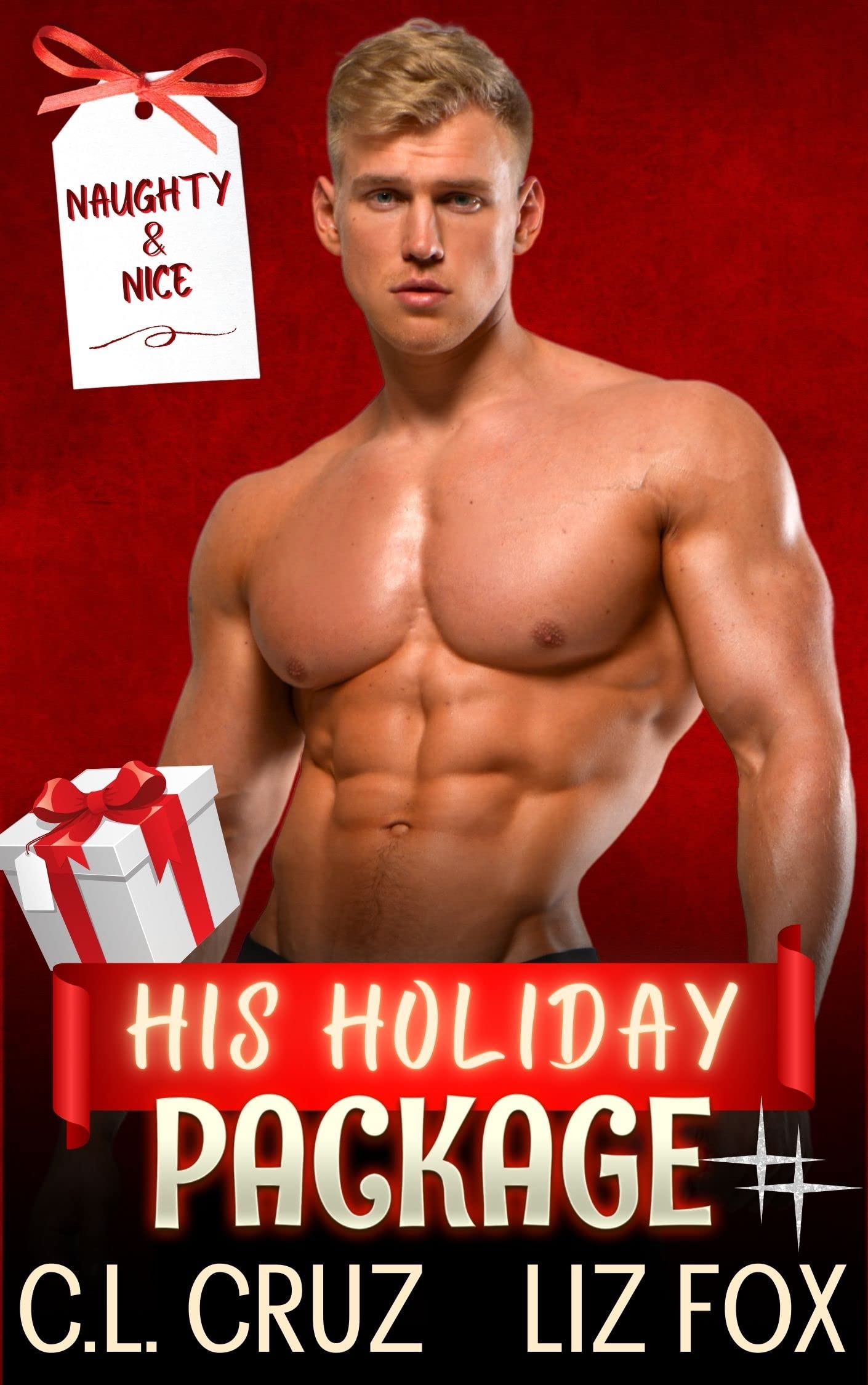 His Holiday Package (Naughty & Nice #4)