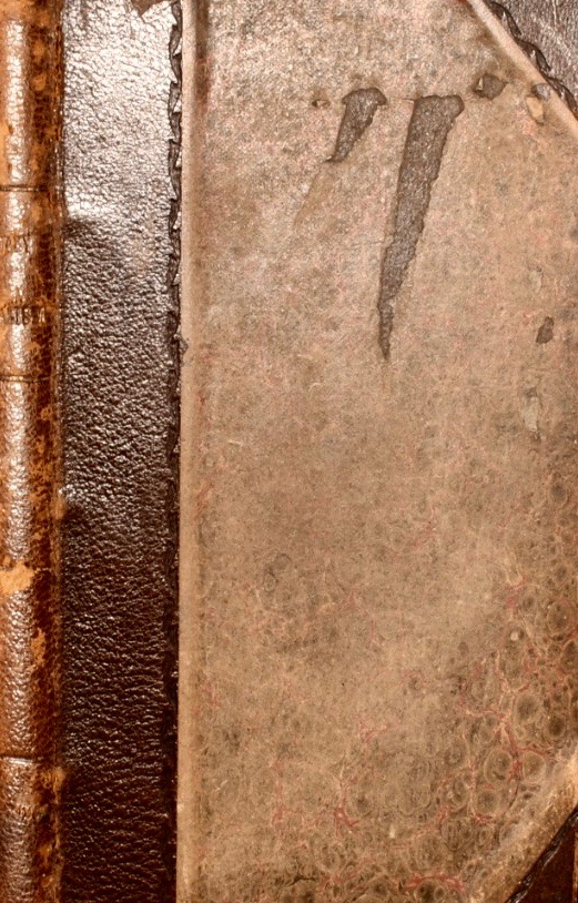 The Sanctuary of Spiritualism: A Study of the Human Soul and of Its Relations with the Universe Through Somnambulism and Ecstasy (Leather Bound)