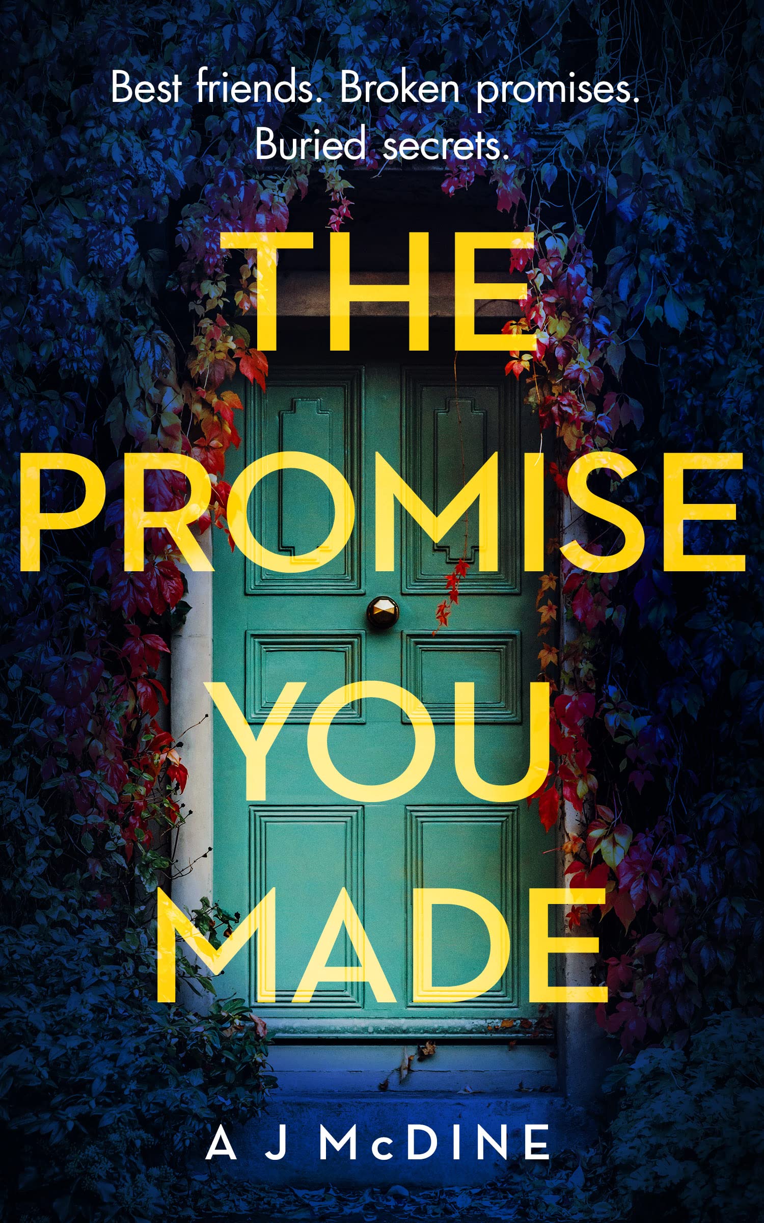The Promise You Made (Kindle Edition)