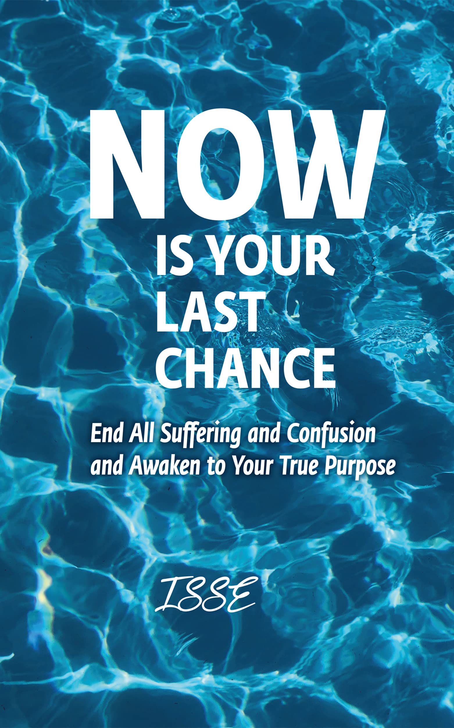 Now is Your Last Chance: End All Suffering and Confusion and Awaken to Your True Purpose (Kindle Edition)
