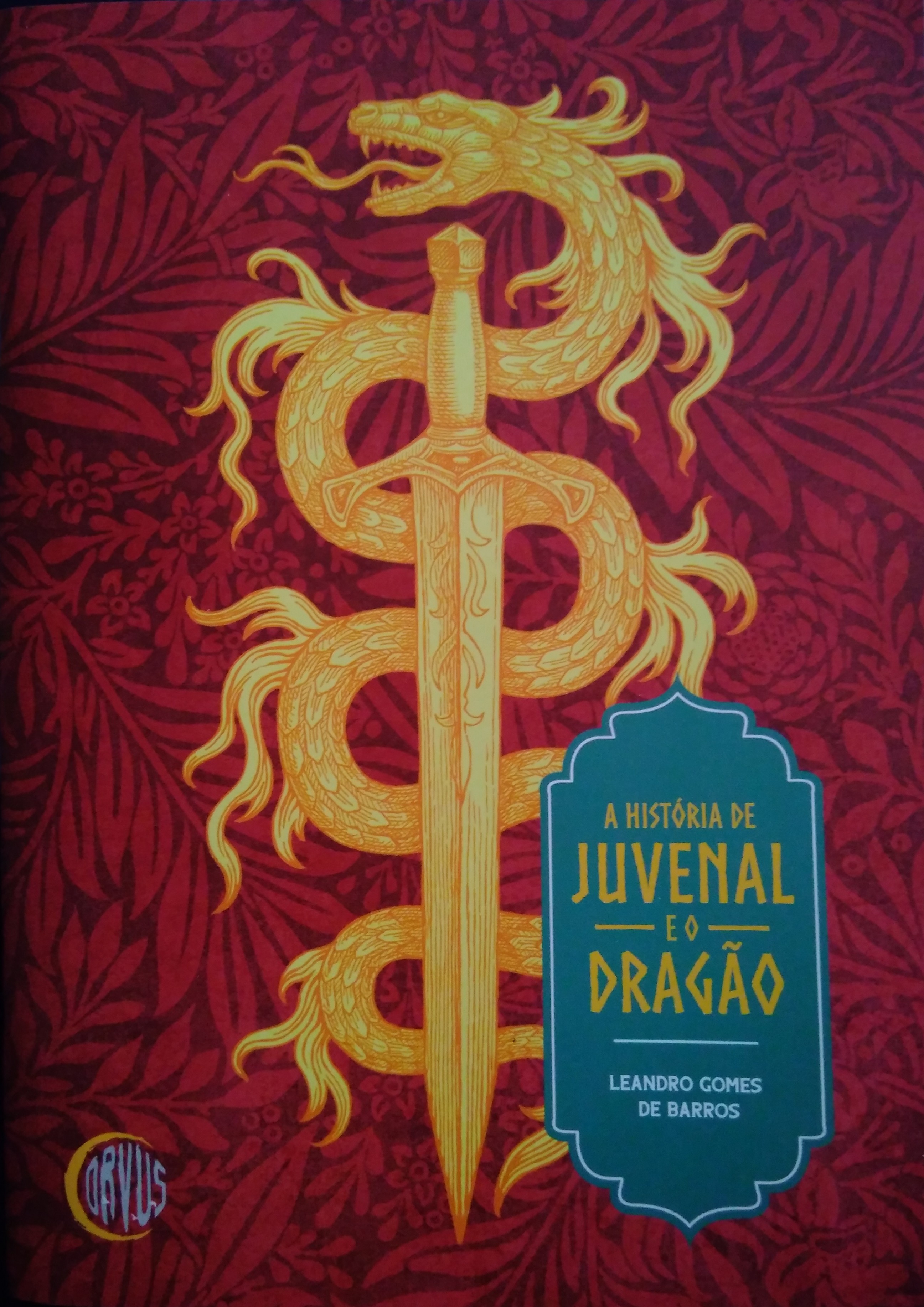A história de Juvenal e o dragão (Paperback)