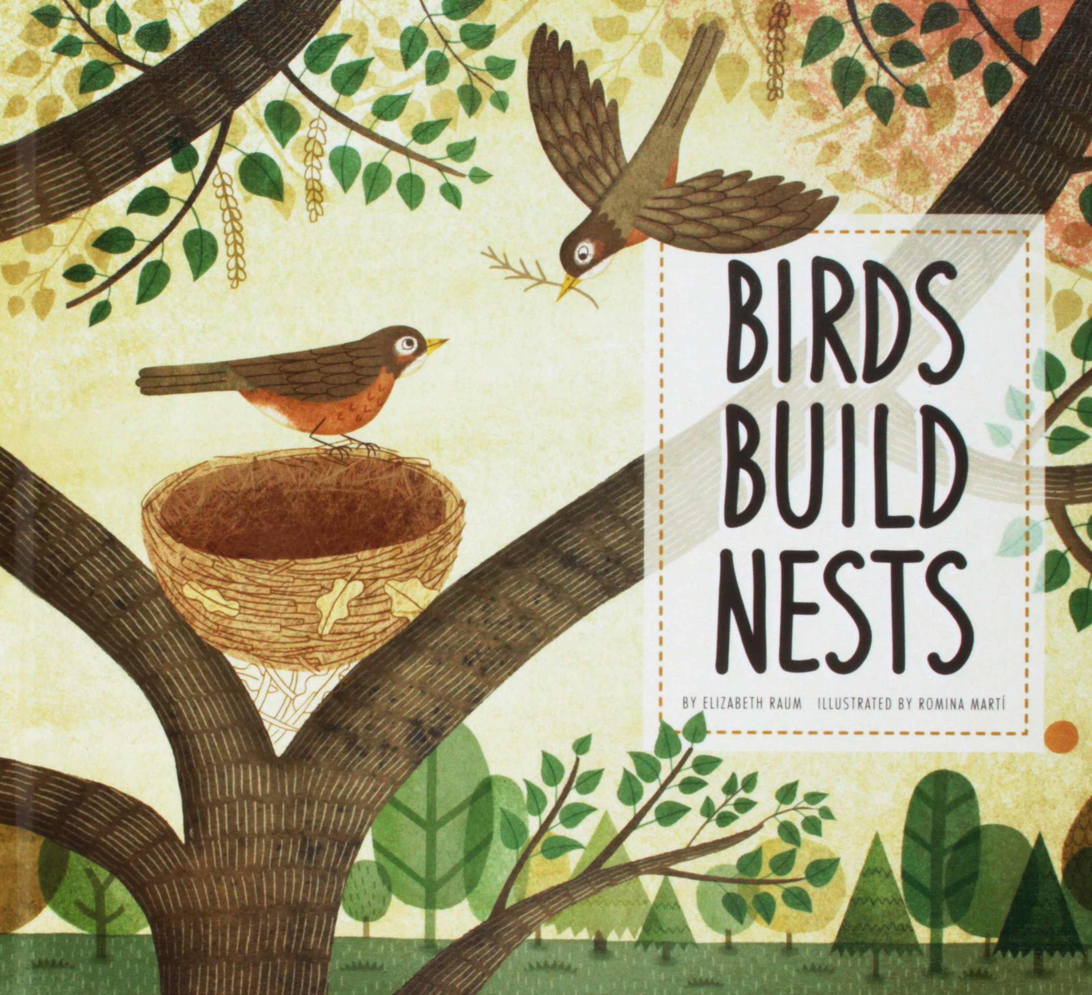 Birds Build Nests (Animal Builders)