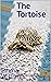 The Tortoise
