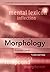 Introducing Morphology (Cambridge Introductions to Language and Linguistics)