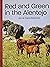 Red and Green in the Antejo by Jim McCord