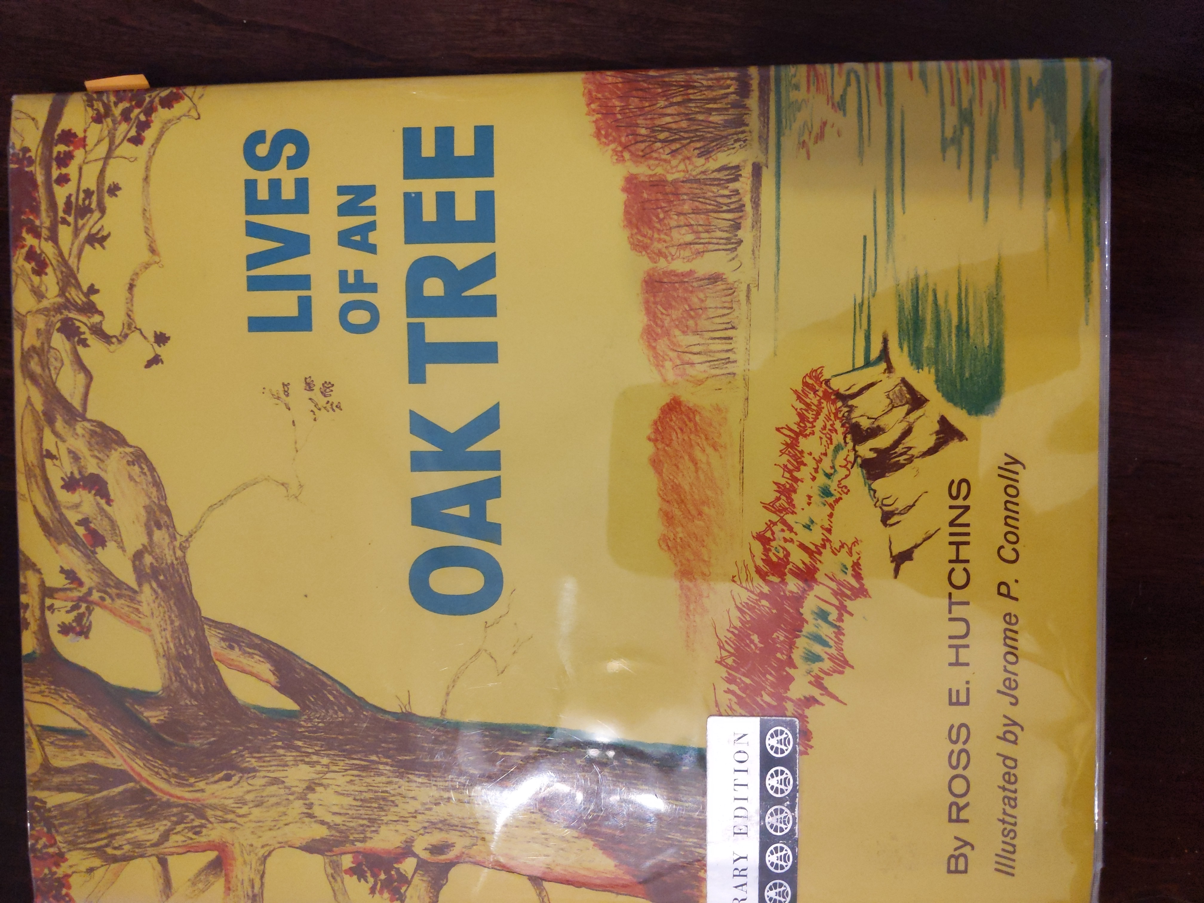 Lives of an Oak Tree