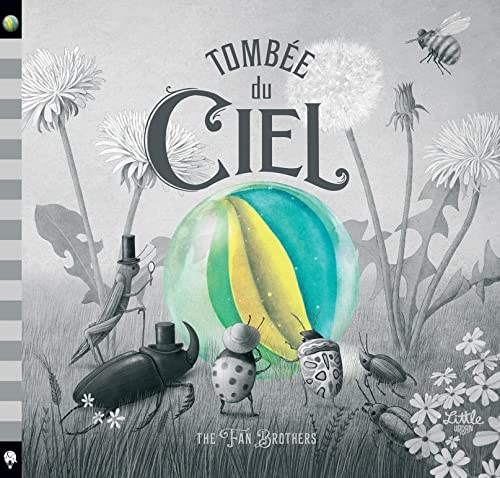 Tombée du ciel (Hardcover)
