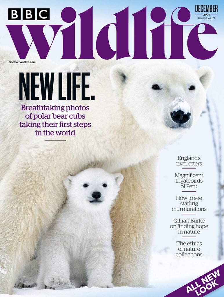 BBC Wildlife Magazine (ebook)