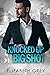 Knocked Up By Mr. Big Shot