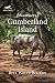 Islomanes of Cumberland Island